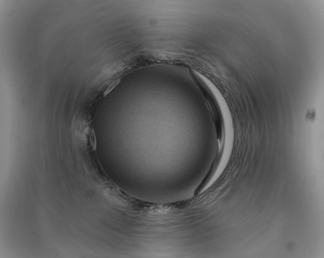 X0000090930235200708131500