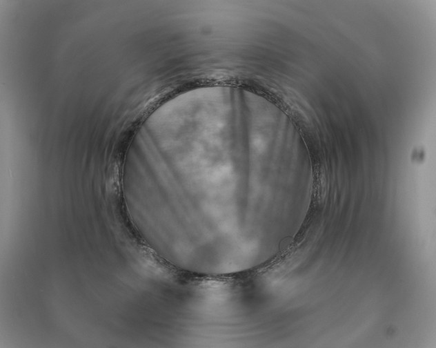 X0000090930236200708131500