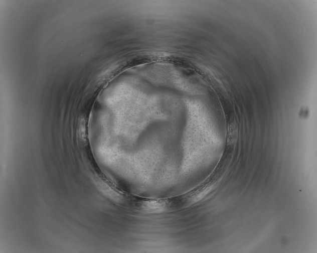 X0000090930238200708131500