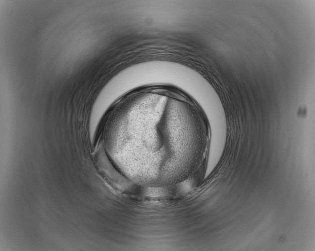 X0000090930239200708131500