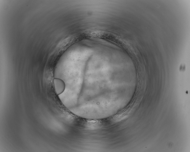 X0000090930240200708131500