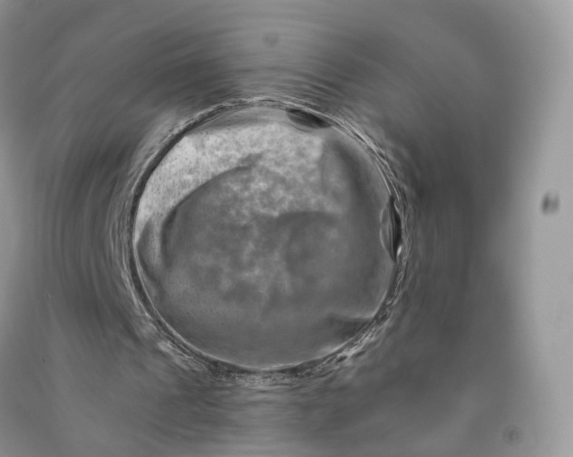 X0000090930241200708131459