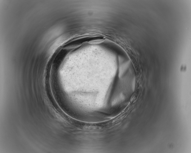 X0000090930242200708131459