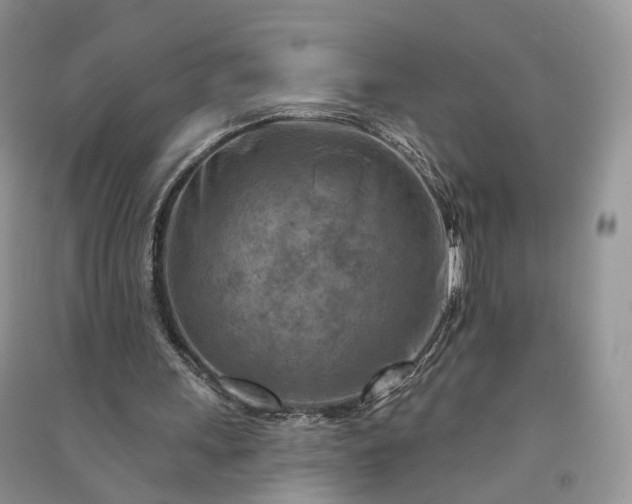 X0000090930243200708131459