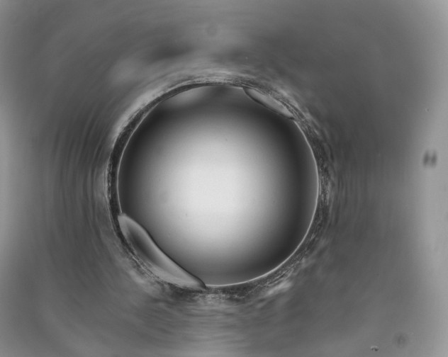 X0000090930244200708131459