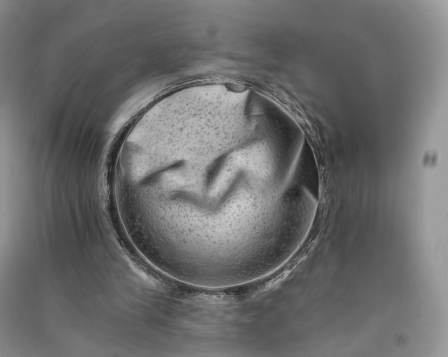 X0000090930245200708131459