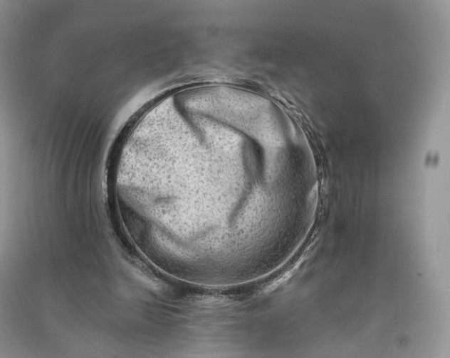 X0000090930246200708131459