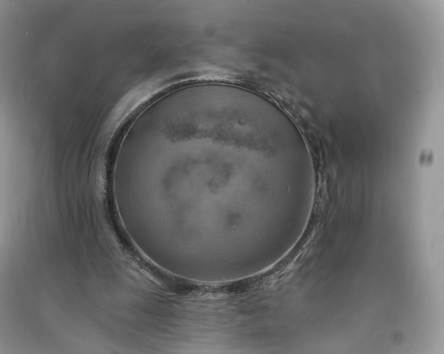 X0000090930247200708131459