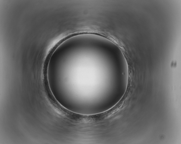 X0000090930248200708131459