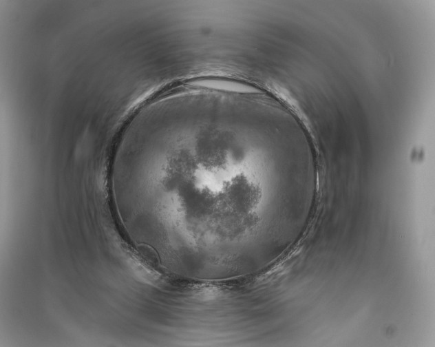 X0000090930249200708131459