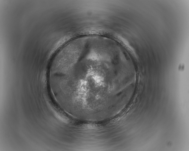 X0000090930250200708131459