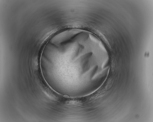 X0000090930251200708131459