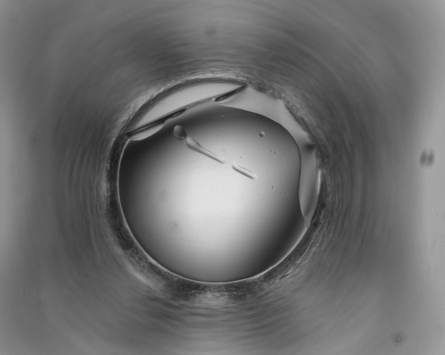 X0000090930252200708131459