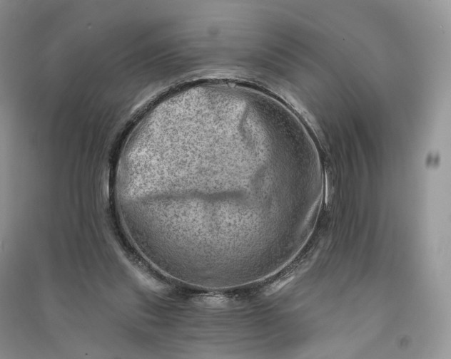 X0000090930253200708131459