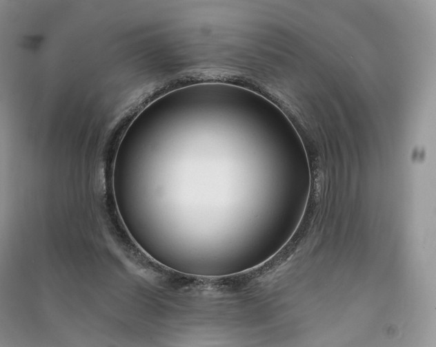 X0000090930254200708131459