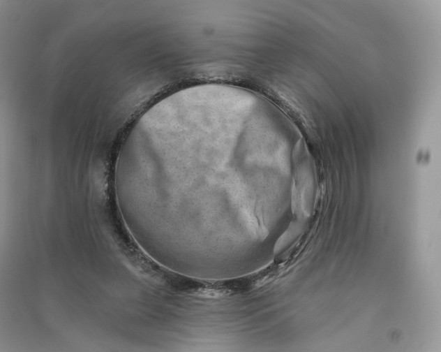 X0000090930255200708131459