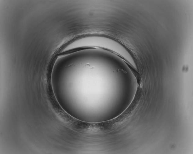 X0000090930256200708131459