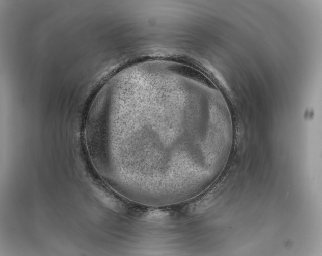 X0000090930257200708131459