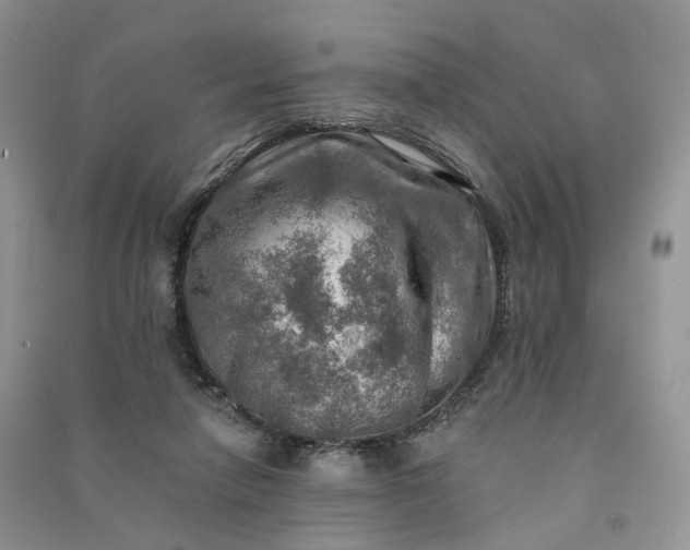 X0000090930258200708131459