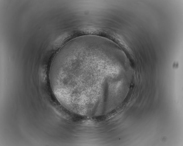 X0000090930259200708131459