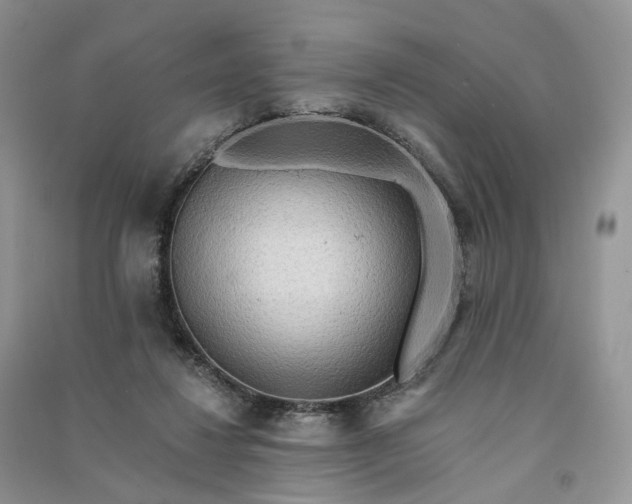 X0000090930260200708131459