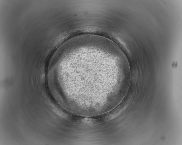 X0000090930261200708131459