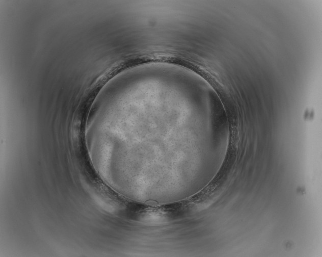 X0000090930263200708131459