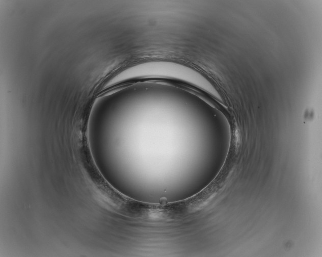 X0000090930264200708131459