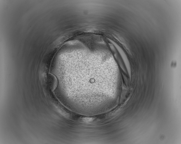 X0000090930265200708131459