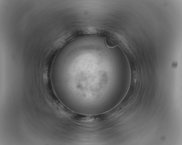 X0000090930267200708131459