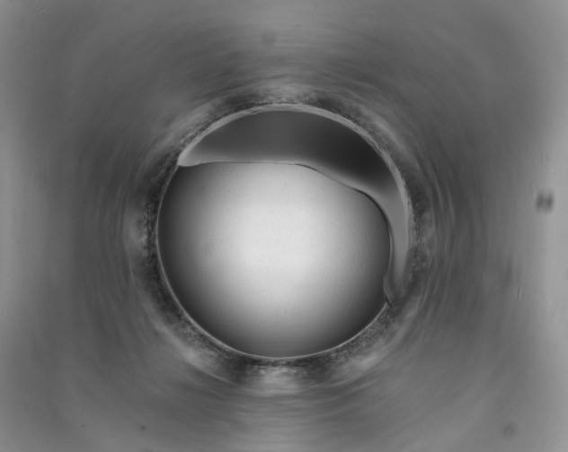 X0000090930268200708131459