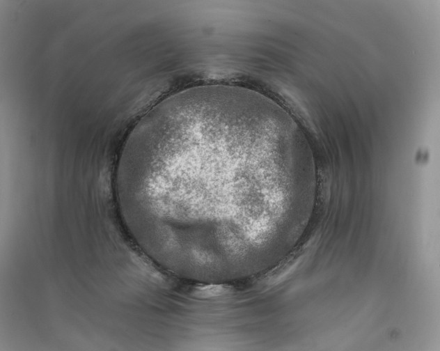 X0000090930269200708131459