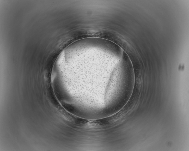 X0000090930270200708131459