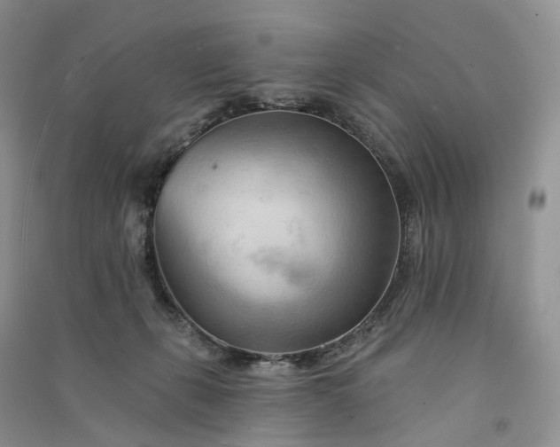 X0000090930271200708131459