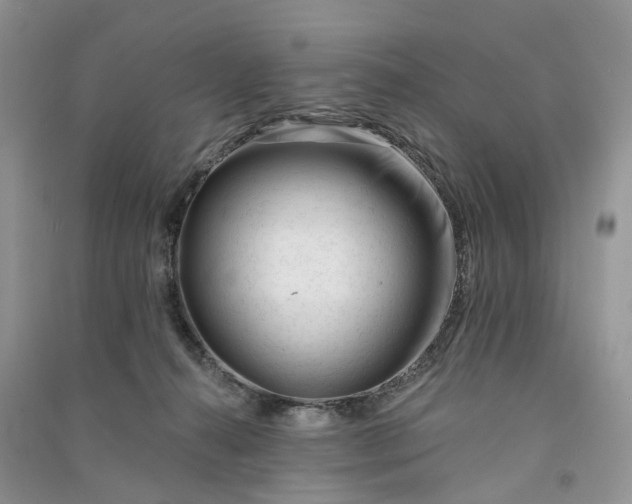 X0000090930272200708131459