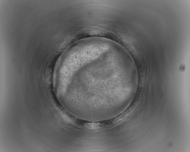 X0000090930273200708131500