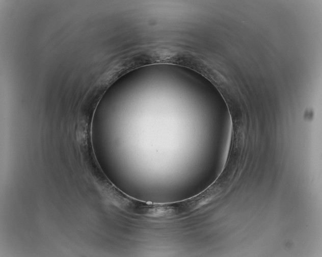 X0000090930274200708131500