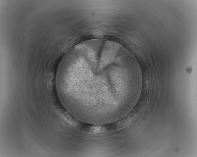 X0000090930275200708131500