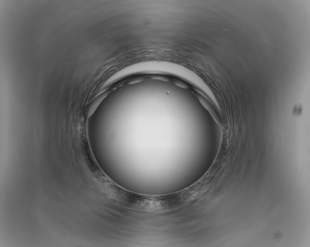 X0000090930276200708131500