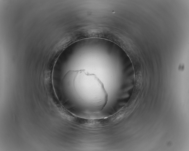 X0000090930278200708131500