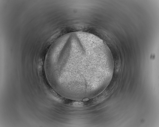 X0000090930279200708131500