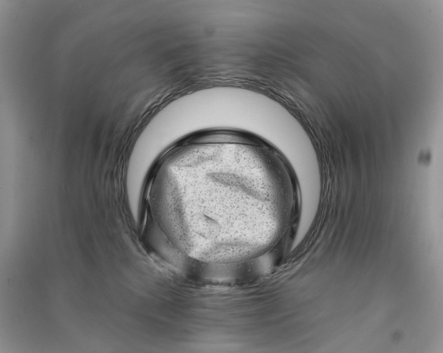 X0000090930280200708131500