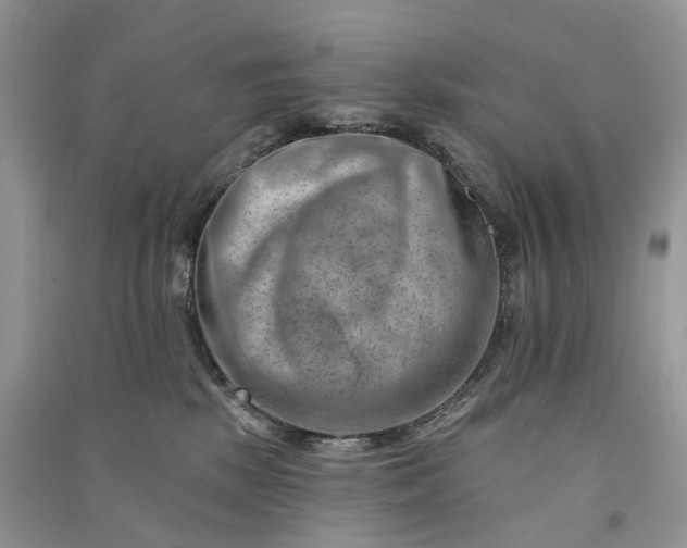 X0000090930281200708131500