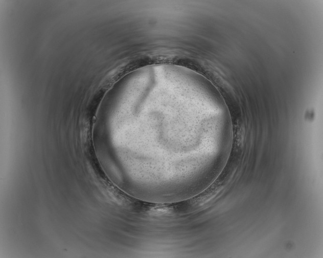 X0000090930283200708131500