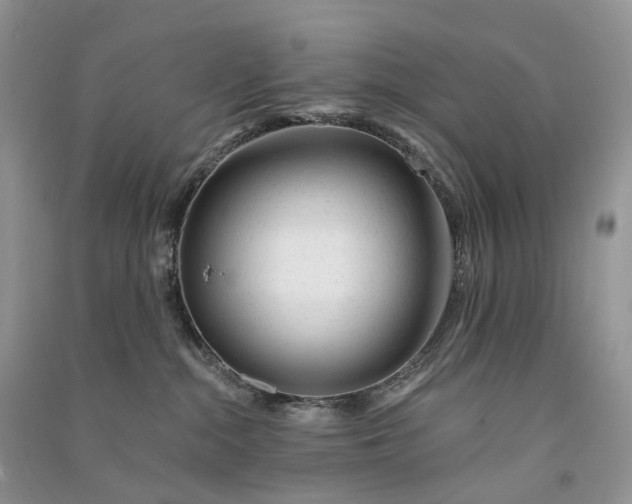 X0000090930284200708131500