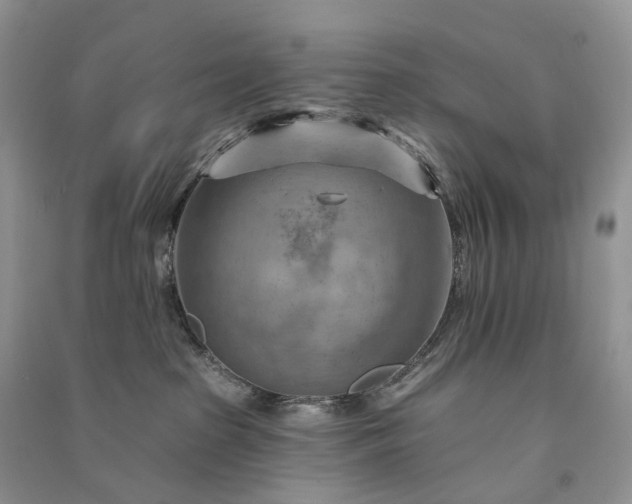 X0000090930285200708131500