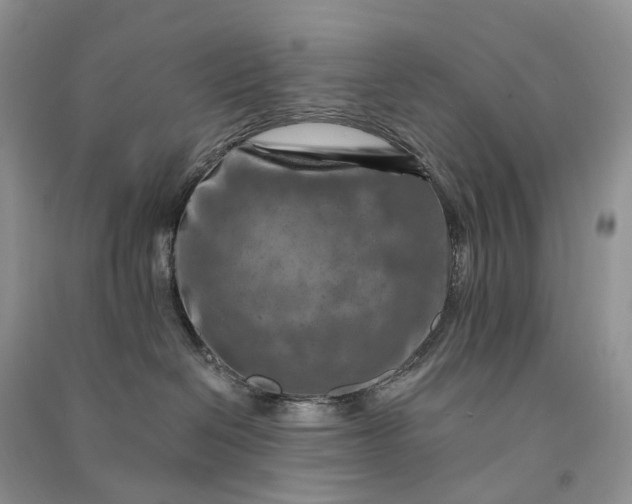 X0000090930286200708131500