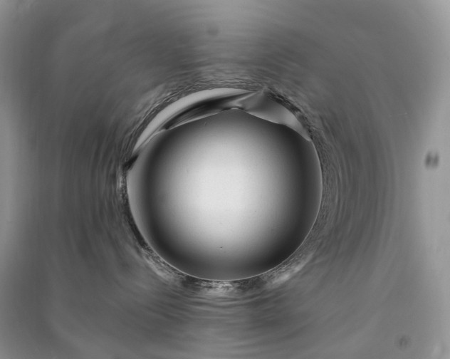 X0000090930288200708131500