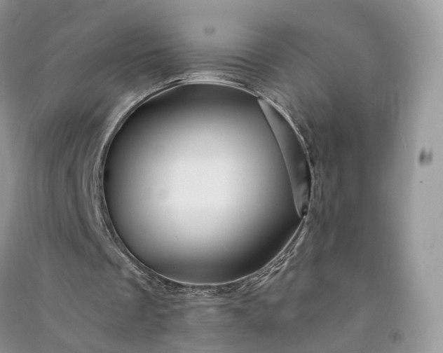 X0000090930289200708131459