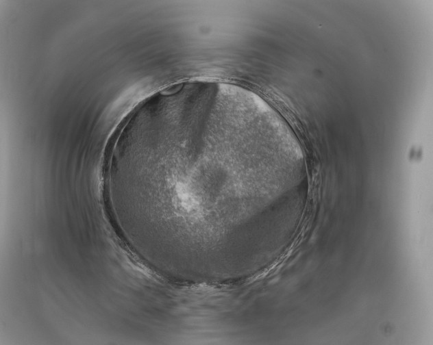 X0000090930290200708131459